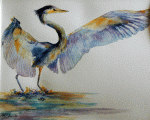"On Time Arrival" watercolor of a great blue heron landing on a pond by artist, Bonny A. Eberly